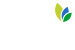 Santo Agostinho Residencial
